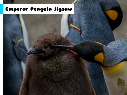 Emperor Penguin Jigsaw